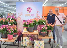 Tristan Bentvelden of Dümmen Orange and Hans Staathof Young Plans, a Dümmen Orange broker in several countries. In the picture with Summer Bees, plants attracting a lot of bees, “a drive-in for the bees”.